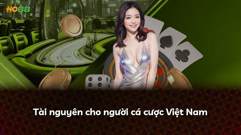 Tài nguyên cho người cá cược Việt Nam