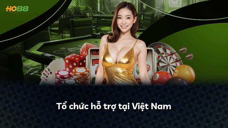 Tổ chức hỗ trợ tại Việt Nam
